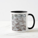 Search for bodega mugs Alava
