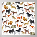 Search for pedigree posters Animal