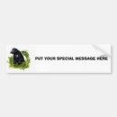 Search for skunk bumper stickers Wildlife