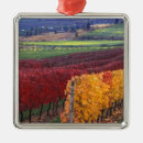 Search for valley christmas tree decorations Wine country