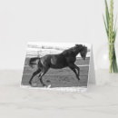 Search for with attitude cards Photography