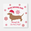 Search for dachshund magnets Funny