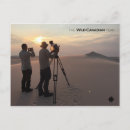 Search for athabasca postcards Nature