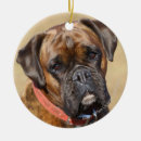 Search for brindle boxer dog christmas tree decorations Headshot