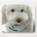 Search for animal collar mouse mats Dog