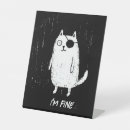 Search for pirate signs Funny cat
