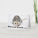 Search for mouse birthday cards Friend