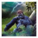 Search for great apes posters Gorilla