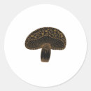 Search for frog fairy stickers Fungi