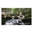 Search for mountain stream Beautiful