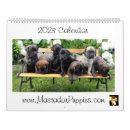Search for mastiff calendars Puppies