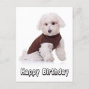 Search for maltese birthday cards Puppy