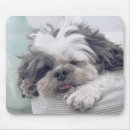 Search for shih tzu dog mouse mats Pet
