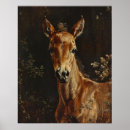 Search for foals posters Cute