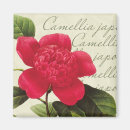 Search for redoute magnets Botanical