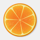 Search for slice magnets Vegetarian