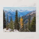 Search for larch tree postcards Fall