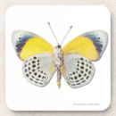 Search for nature coasters Girly
