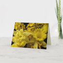 Search for daffodils mothers day cards Springtime