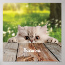 Search for peek art Kitten