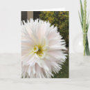 Search for elf cards Flower