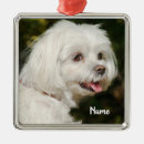 Search for maltipoo christmas tree decorations Poodle