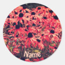 Search for black eyed susan stickers Daisy