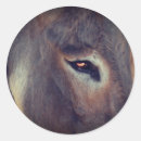 Search for donkeys stickers Nature