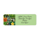 Search for tomato return address labels Lettuce