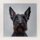 Search for scottish terrier puzzles Pets