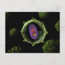 Search for microscope postcards Science