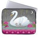 Search for swan Beautiful