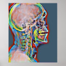 Search for abstract skeleton art Colourful