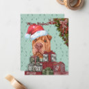 Search for sharpei cards Cute