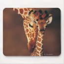 Search for calf mouse mats Close up