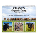 Search for cow calendars Calves