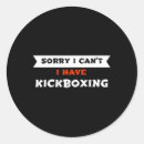 Search for strike fighter stickers Martial