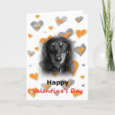Search for dachsie cards Weenie