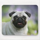 Search for alertness mouse mats Dog