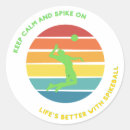 Search for volleyball player stickers Serve