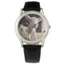 Search for animal watches Farm