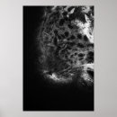 Search for jaguar panther posters Wildlife