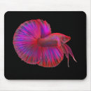 Search for betta mouse mats Aquarium