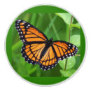 Search for door handles knobs and pulls Cabinet