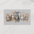 Search for cat business cards Kittens