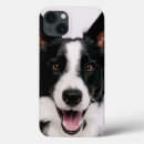 Search for border collie cases Funny
