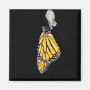 Search for monarch butterfly magnets Chrysalis