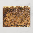 Search for beekeeping postcards Hive