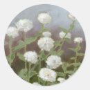 Search for study stickers Botanical