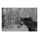Search for w horse art Black and white photography